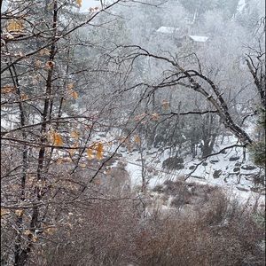 Meet your Posher, Desiree